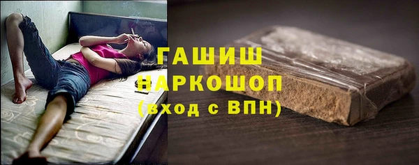 хмурый Няндома