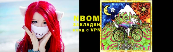 хмурый Няндома