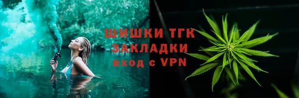 хмурый Няндома