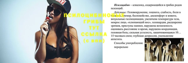 эйфоретик Весьегонск