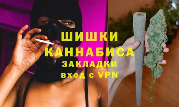 хмурый Няндома