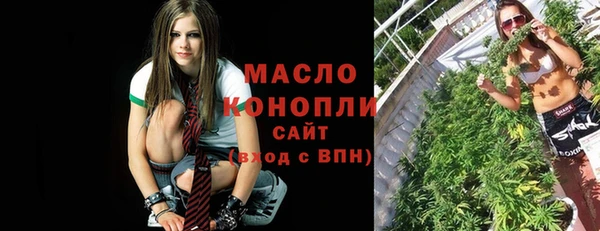 хмурый Ветлуга